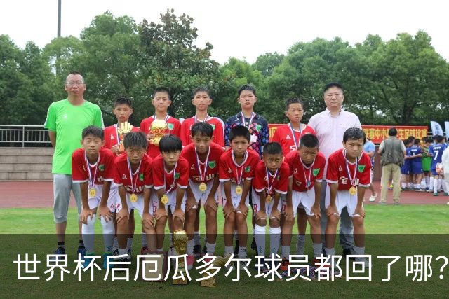 世界杯后厄瓜多尔球员都回了哪？输给墨西哥后他们各归其主