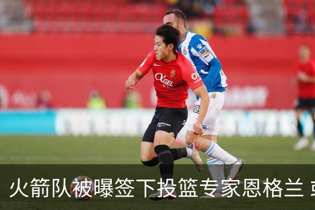 火箭队被曝签下投篮专家恩格兰 或成年轻核心解题密码